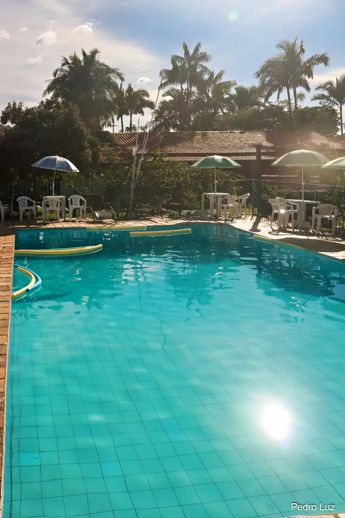 Piscina ao ar livre cercada de verde